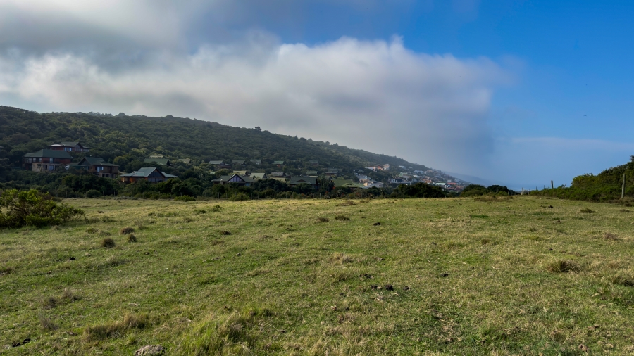 0 Bedroom Property for Sale in Dwarswegstrand Western Cape